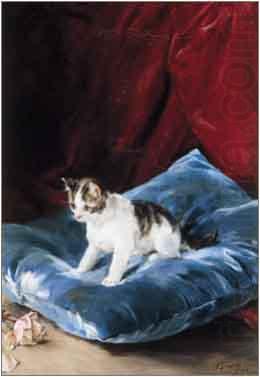 Marques, Francisco Domingo Cat china oil painting image